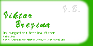 viktor brezina business card